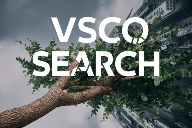 VSCO Search